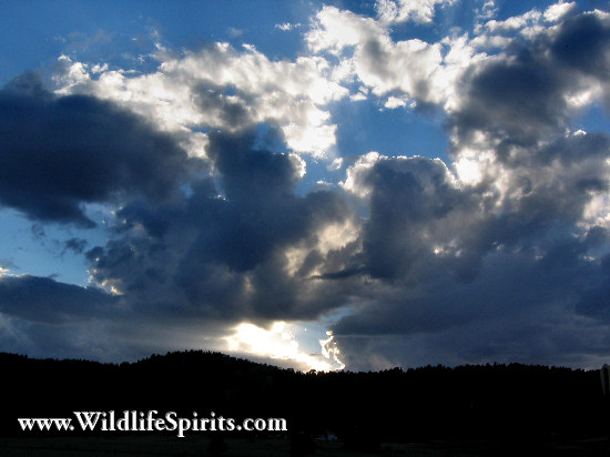Click Picture to send as an  E-PostCard 65k 550x412